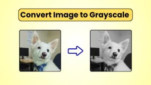 Featured image for Image to Grayscale Converter Tool online